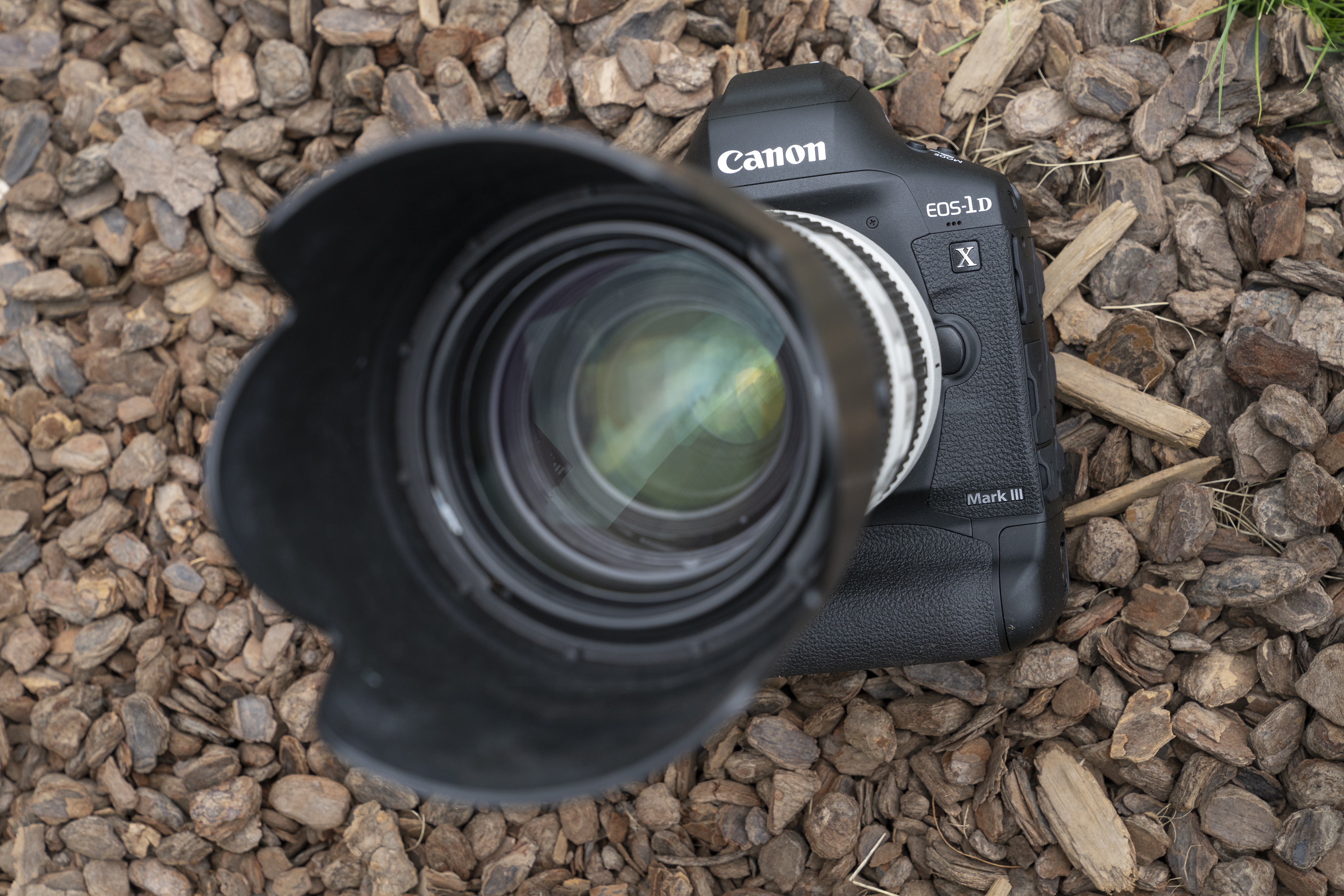 佳能eos-1dxmarkii实拍,佳能eos-1dxmarkiii价格