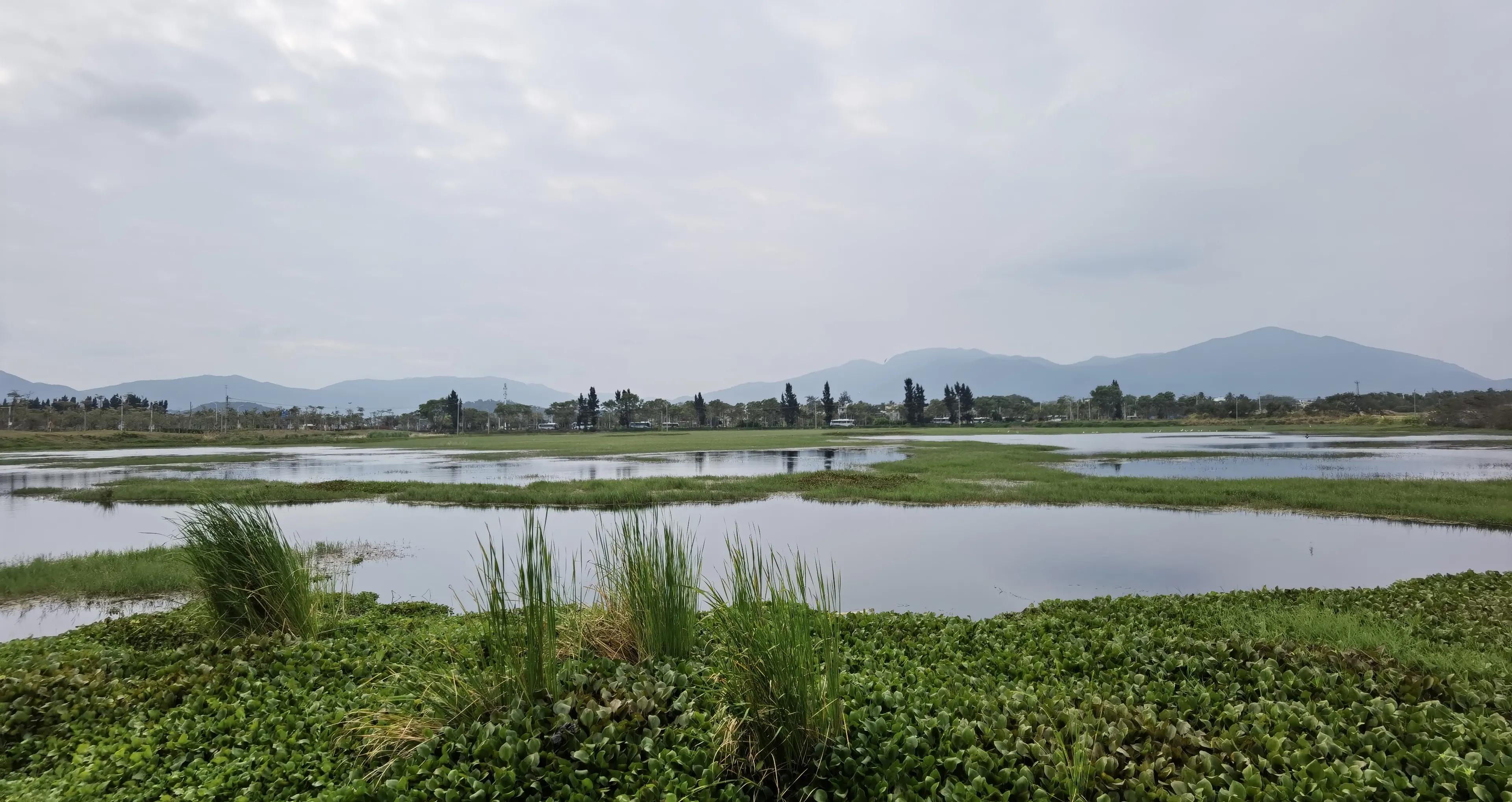 三亚各大海湾介绍,三亚各个湾的沙滩