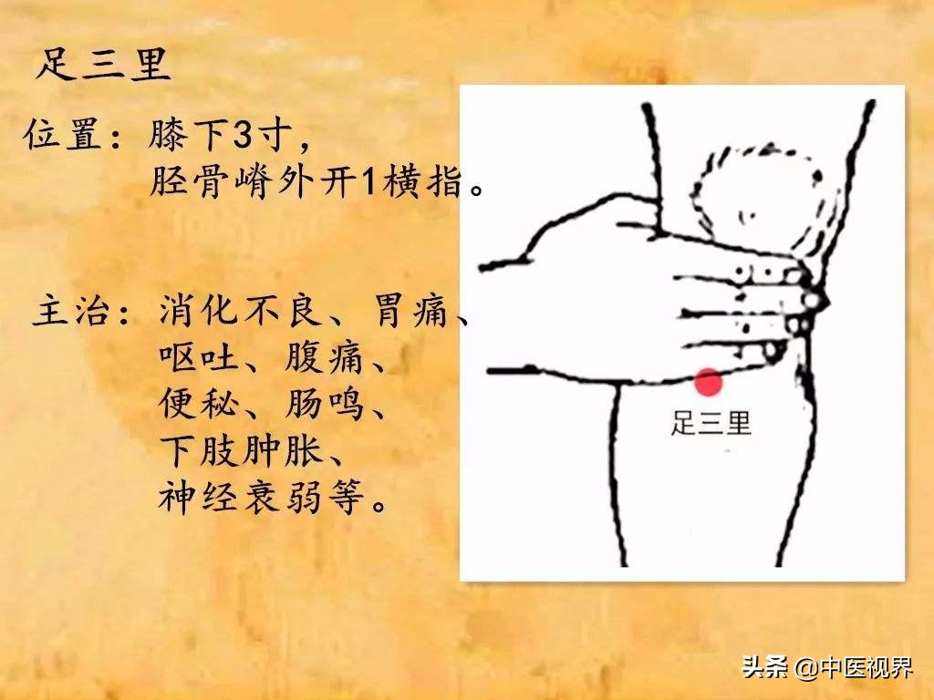 养经络最好的穴位,阳气衰退按摩什么穴位