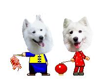 狗年已近尾声,送你50个狗歇后语,太逗了!笑的我肚子疼