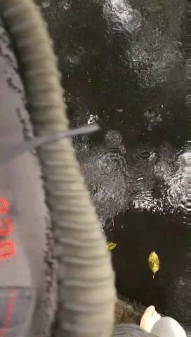 未来几天成都雨雨雨雨，雨天出门该如何自救？