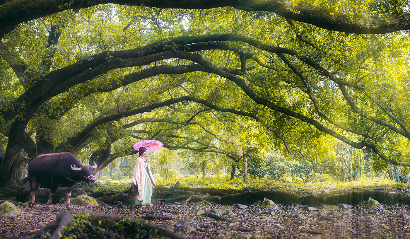 特殊的顶级机和半画幅中的战斗机——弯弯谈摄影器材(5)