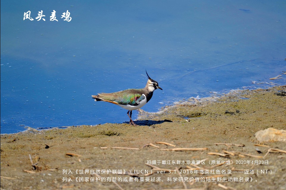榻愰綈鍝堝皵瀚╂睙涓滄按鐝嶇鍏洯,榻愰綈鍝堝皵瀚╂睙涓滄按鐝嶇婀垮湴鍏洯