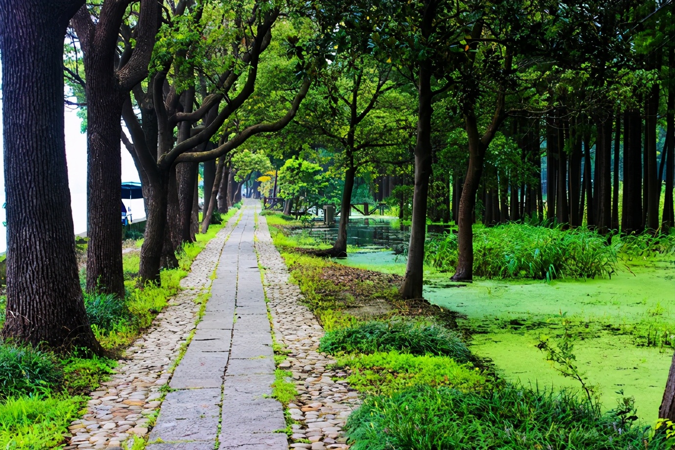 淀山湖柳堤春晓,淀山湖适合露营玩水的地方