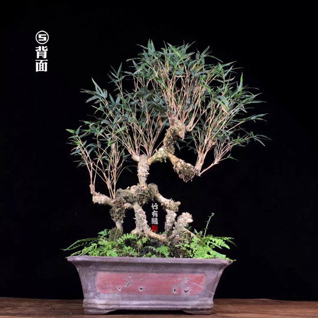 冬天来了你家备暖气片了吗,冬天来了你家棉拖准备好了吗