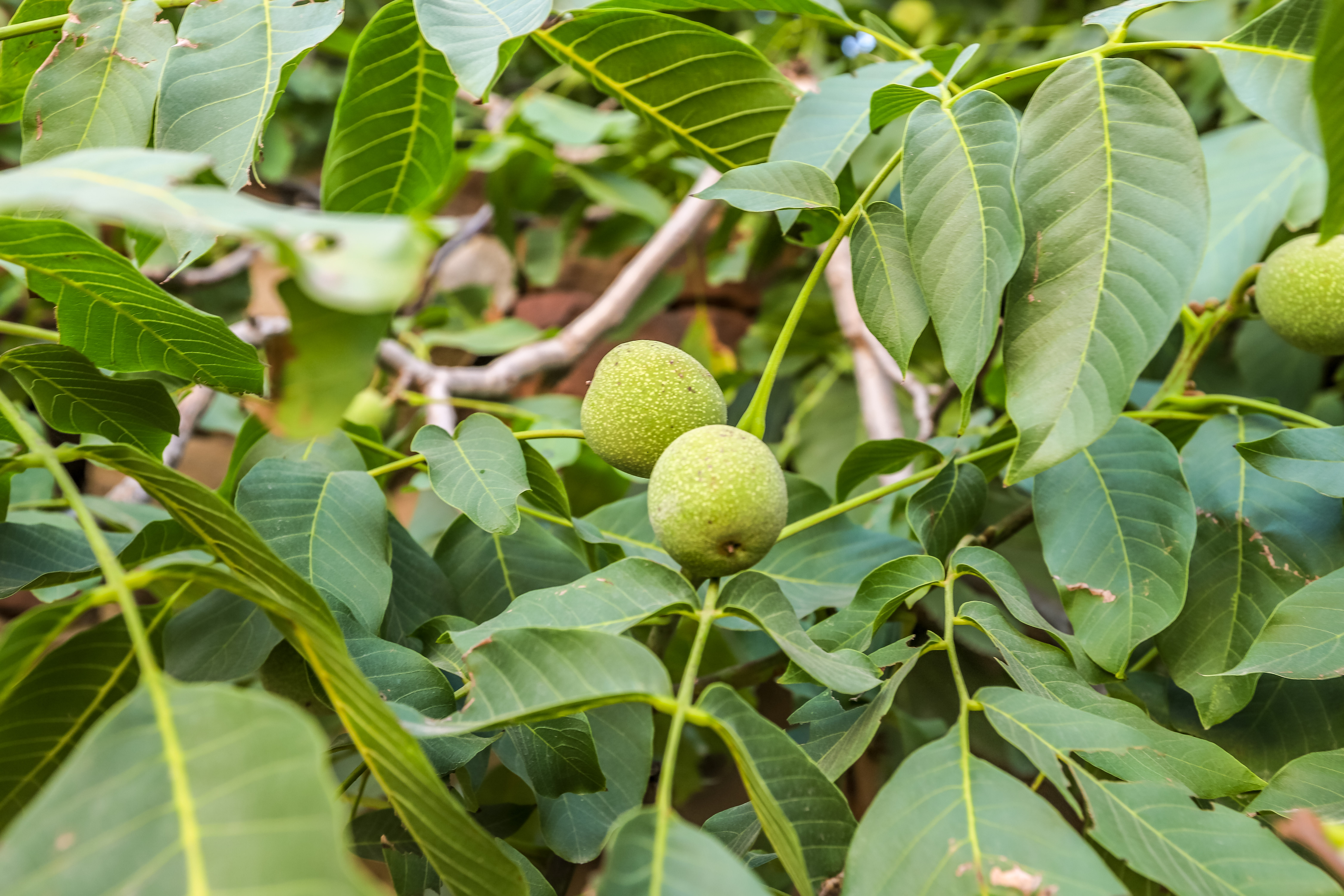 河南最美淳朴古镇在哪里,河南最低调古镇