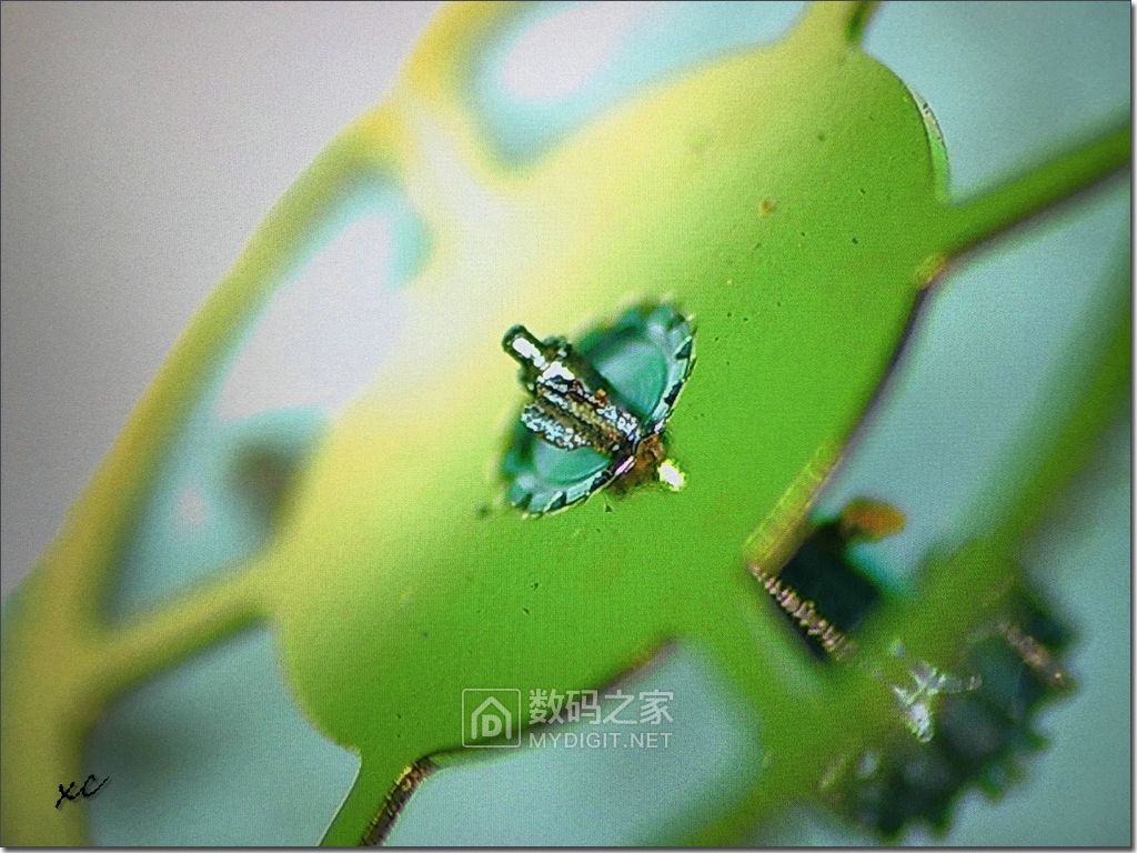 美度贝伦赛丽m8690真假对比图,美度贝伦赛丽m8690哪年上市的