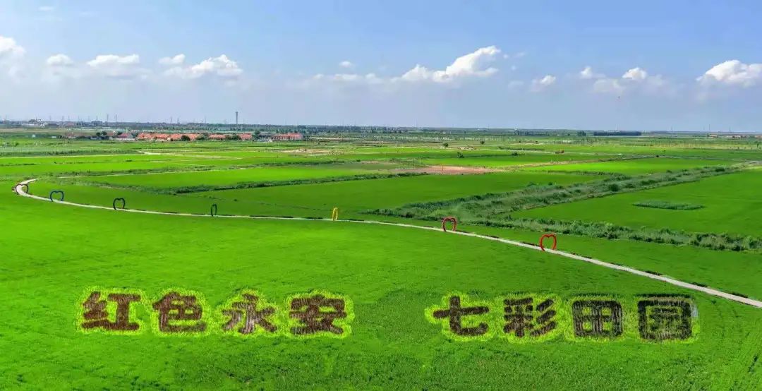 山东东营位置,这就是东营