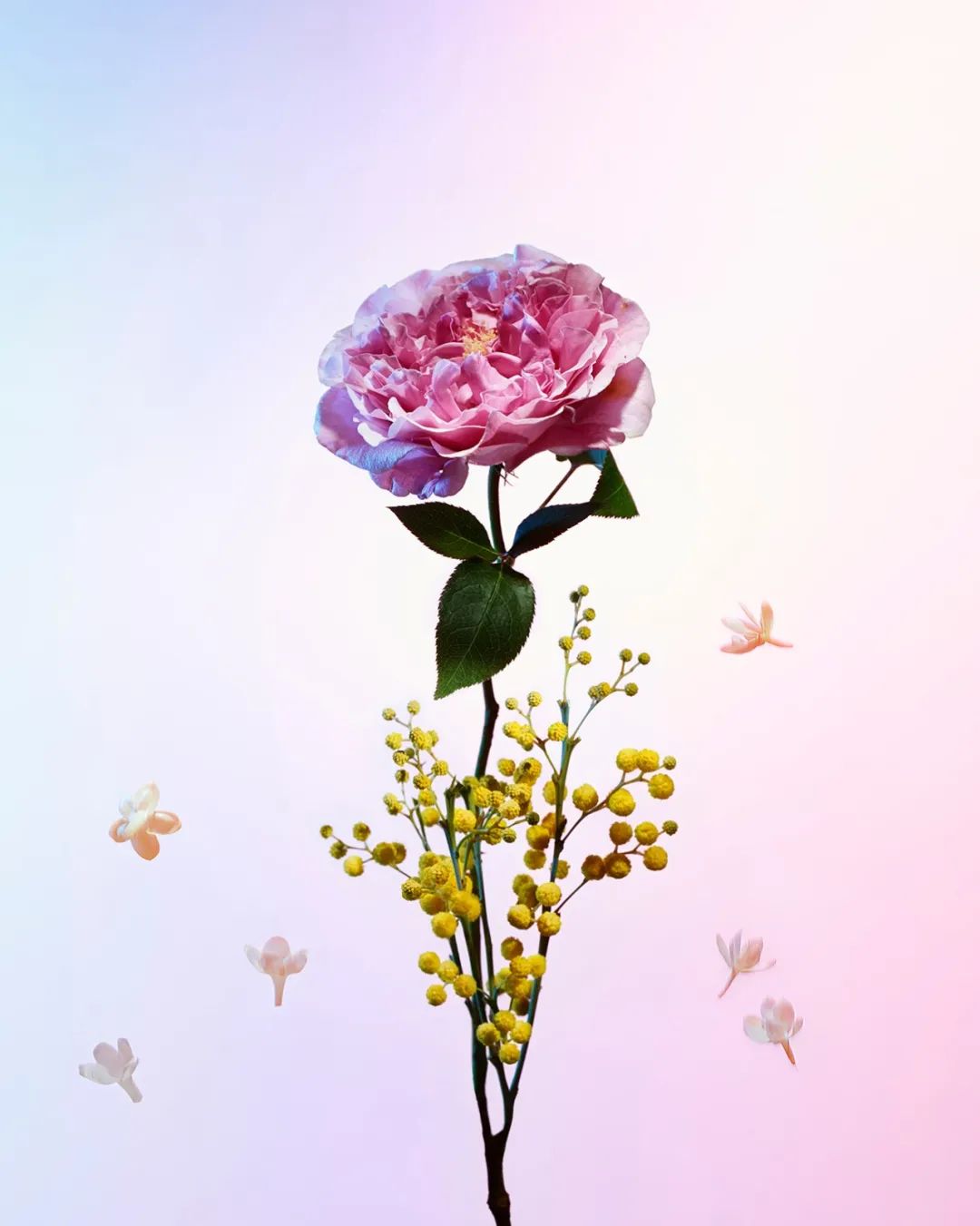 蔡徐坤成纪梵希彩妆代言人，《少年的你》成金像奖最大赢家…