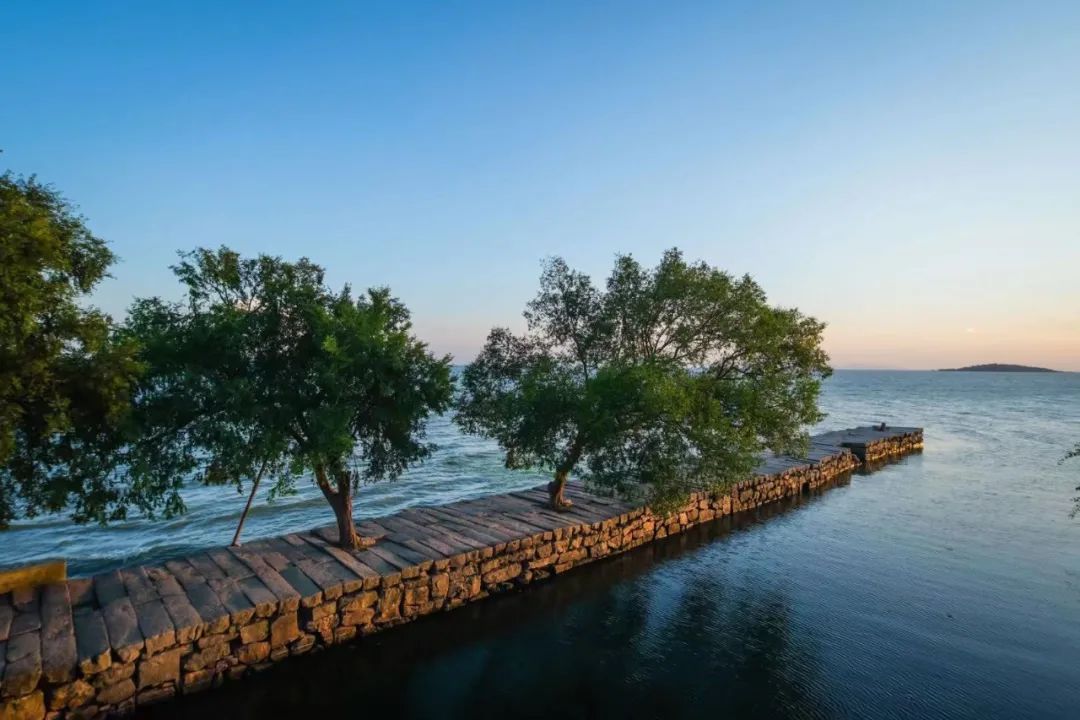 四季苏州|初夏“梅”好相遇,来西山度过酸酸甜甜的一天