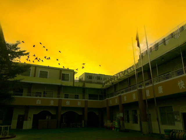 足球比赛暴力行为怎么规定,足球比赛中哪些行为会被罚红牌