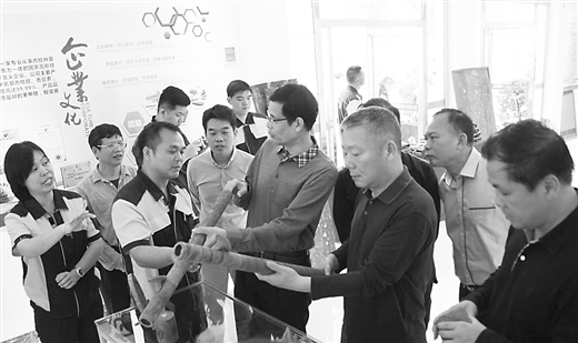 肉桂真的生财吗,罗定肉桂产业