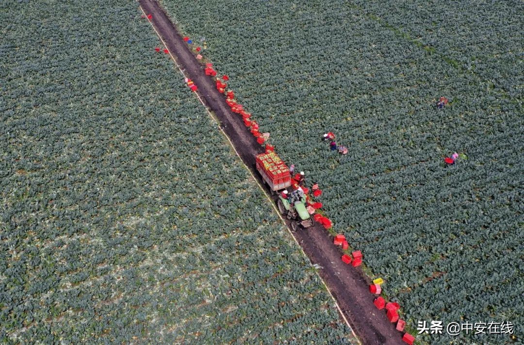 一鸣惊人宣城,一鸣惊人的最佳方法