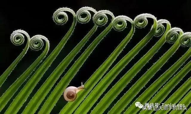 天丽摄影作品集,天丽镜头视频完整版