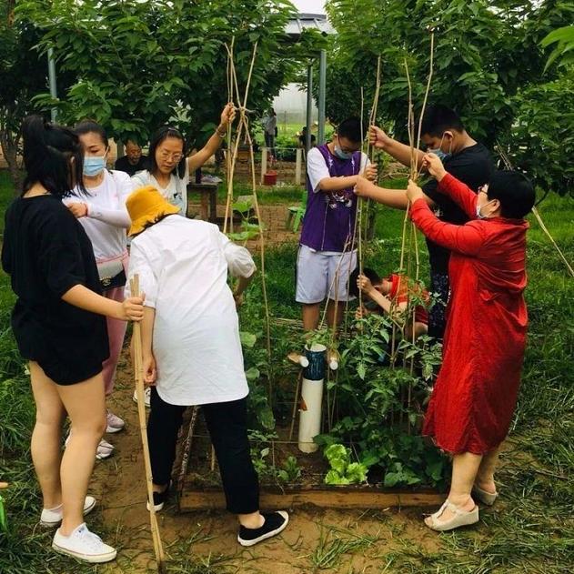 农村五亩地怎样利用赚钱,土地怎样利用赚钱