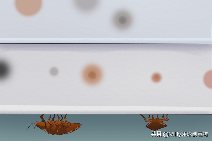 家中臭虫怎么彻底清除,家中有臭虫用什么杀虫剂
