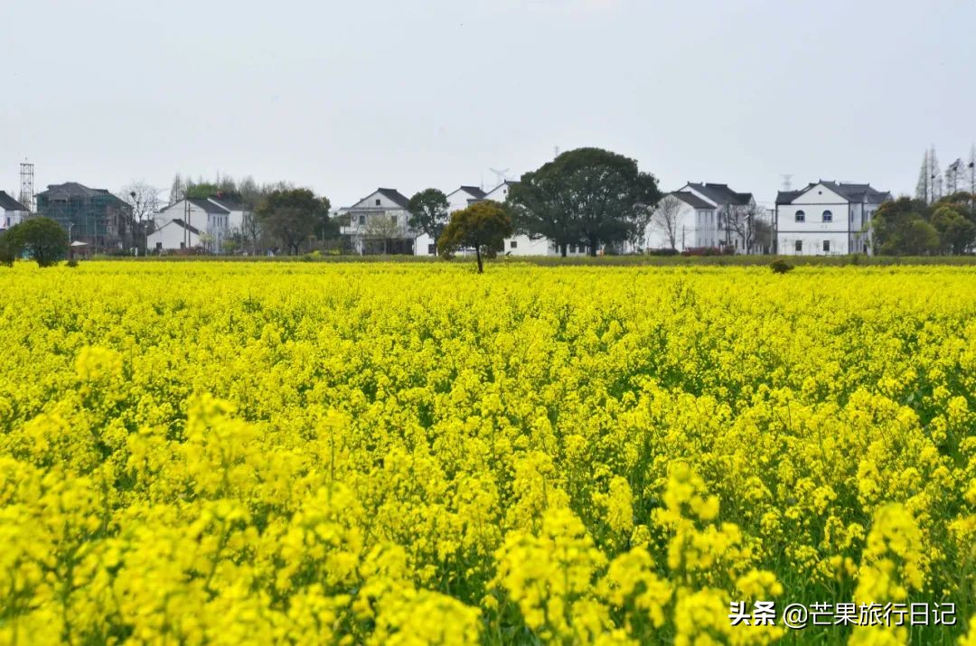 江苏绝美人间仙境风景民宿,江苏最漂亮的湖景民宿