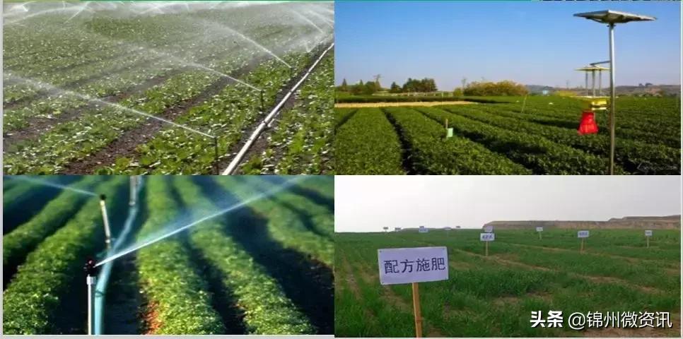 辽宁国家级示范区规划,辽宁凌海农业发展