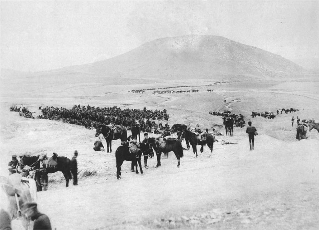 小鼻子是啥意思,小鼻子是什么意思