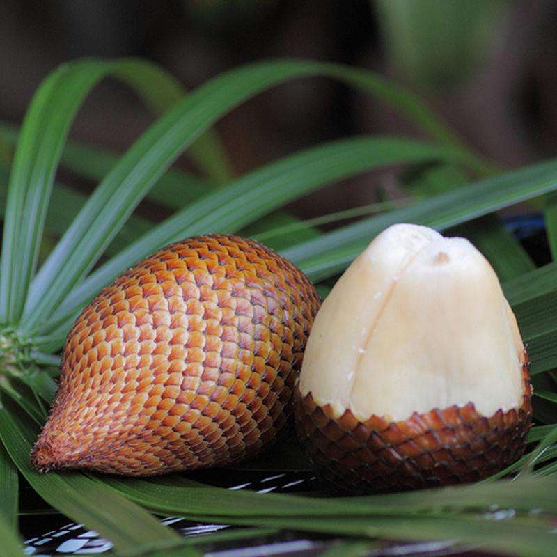 西双版纳原始森林各种好吃的水果,西双版纳必吃的水果有哪些