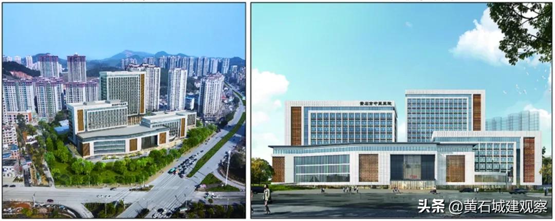 凤凰变野鸡,凤凰变野鸡完整版