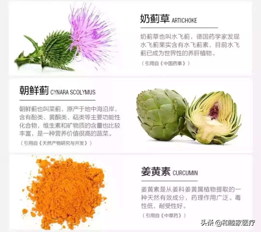 世界肝炎日防治肝炎从我做起,世界肝炎日护肝小技巧