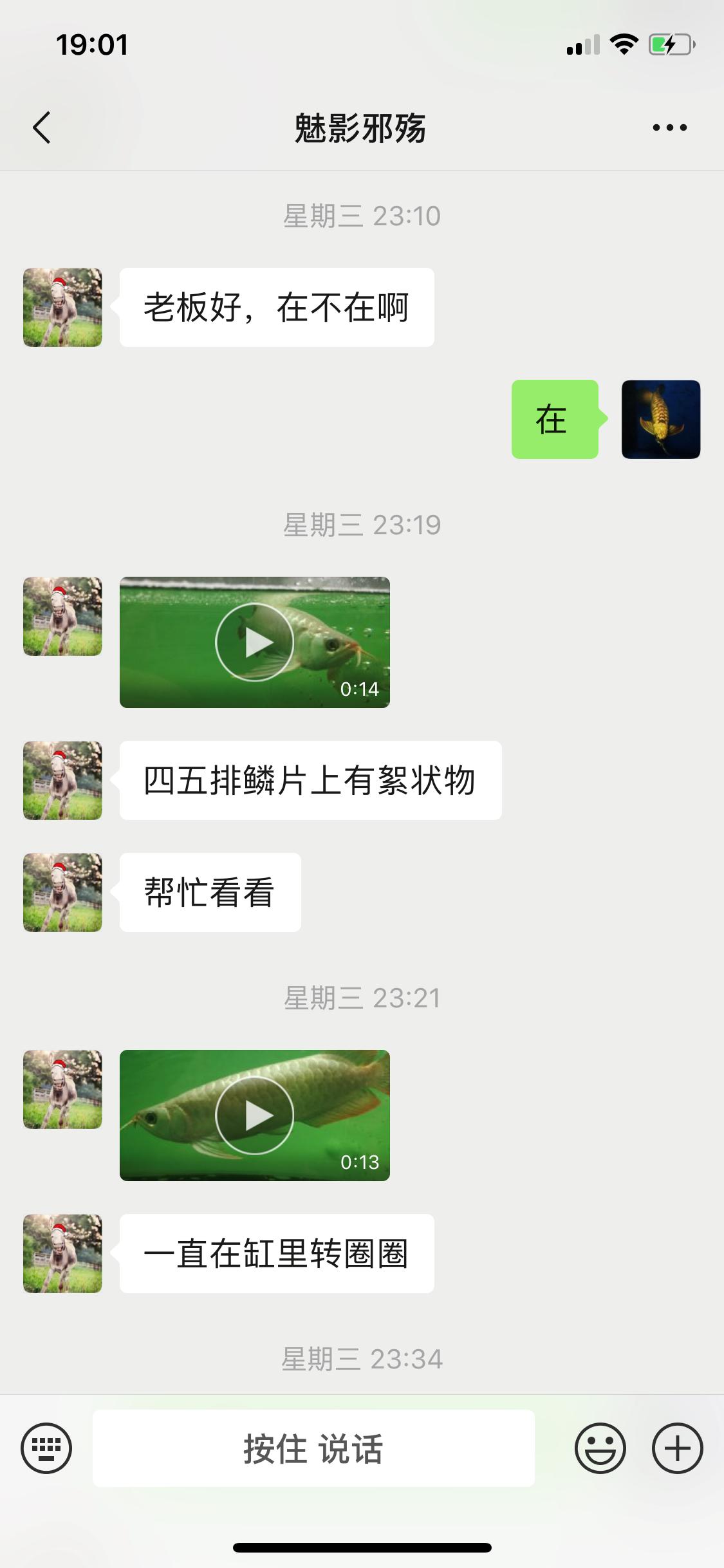 金龙浮漂发炎,速倍妥只用了1天不到就帮我治好了!!!