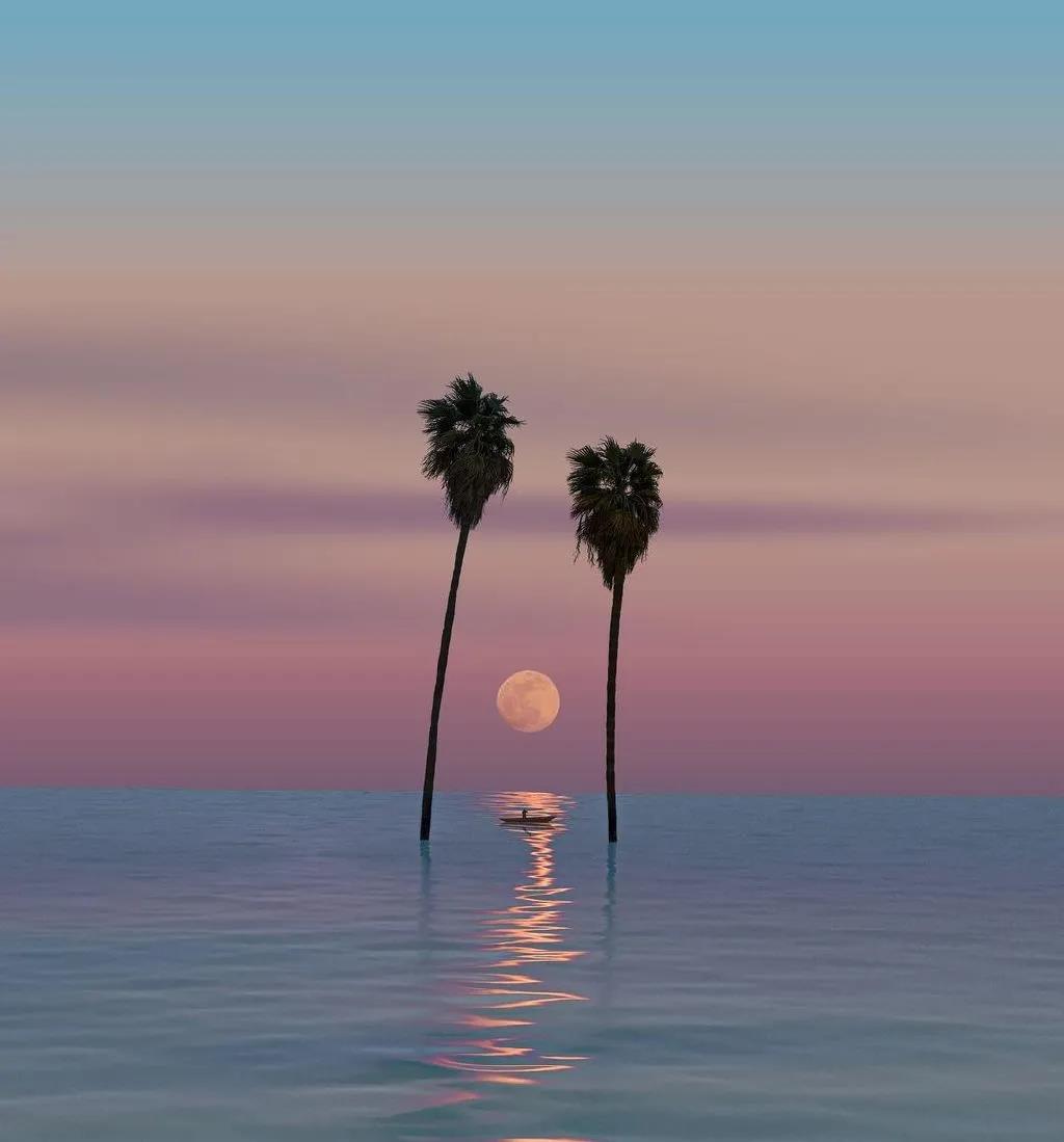 怎么追处女座的人,追处女座女生攻略是什么