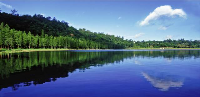 广东湛江42亿项目获批,关于湛江2023广东省重点项目清单