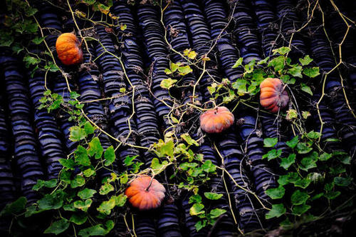大地上的亲人书籍,大地上的亲人