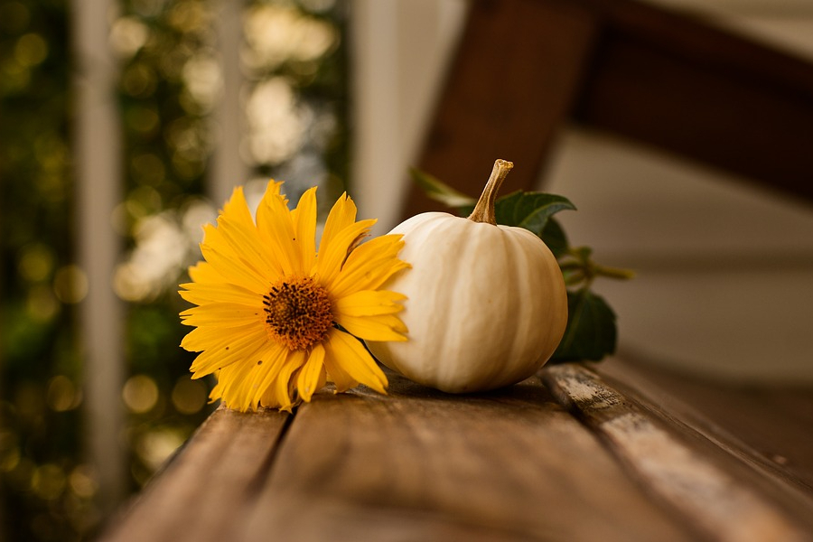 不懂人情的兄弟姐妹如何相处,人老了才明白兄弟姐妹之间交往