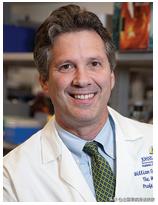 hpv疫苗副作用文献,hpv疫苗副作用什么时候显现