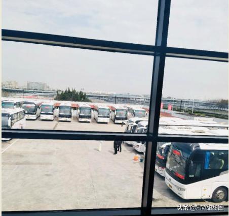 疫情中的回家之路|COVID-19进行时，三个德国家庭的回国经历