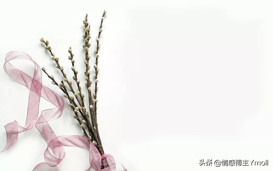 上床和Z爱最大的区别是