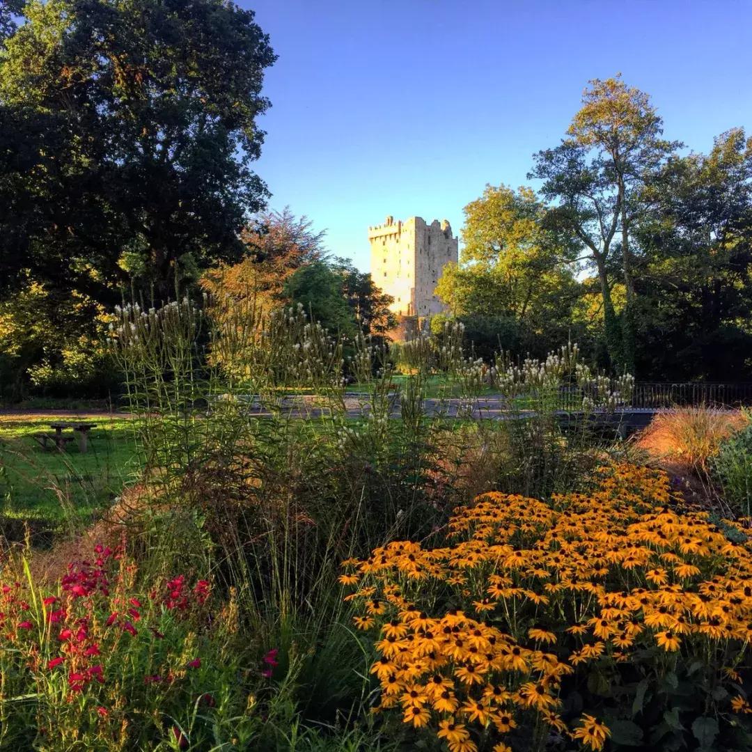 世界上哪些国家禁止离婚,世界上禁止离婚的国家高清视频