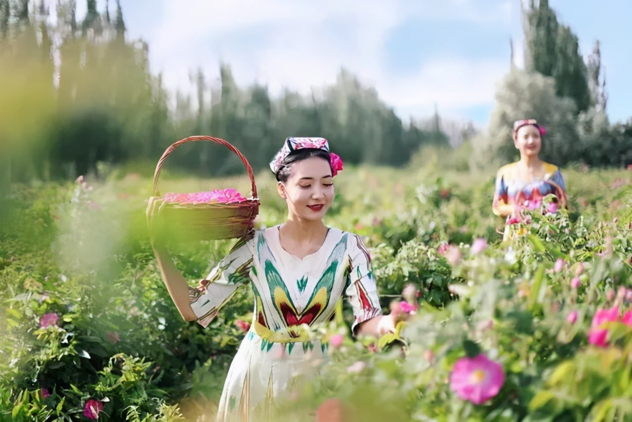 大马士革玫瑰精油多少钱一瓶,初丹大马士革玫瑰精油怎么样