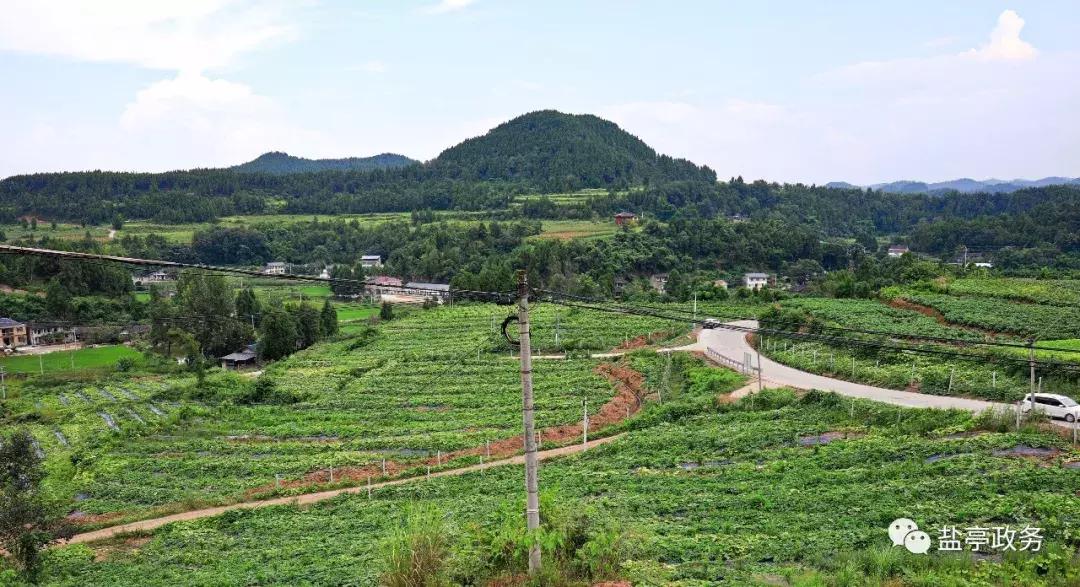 沃野千里风景图,山乡巨变之美不胜收