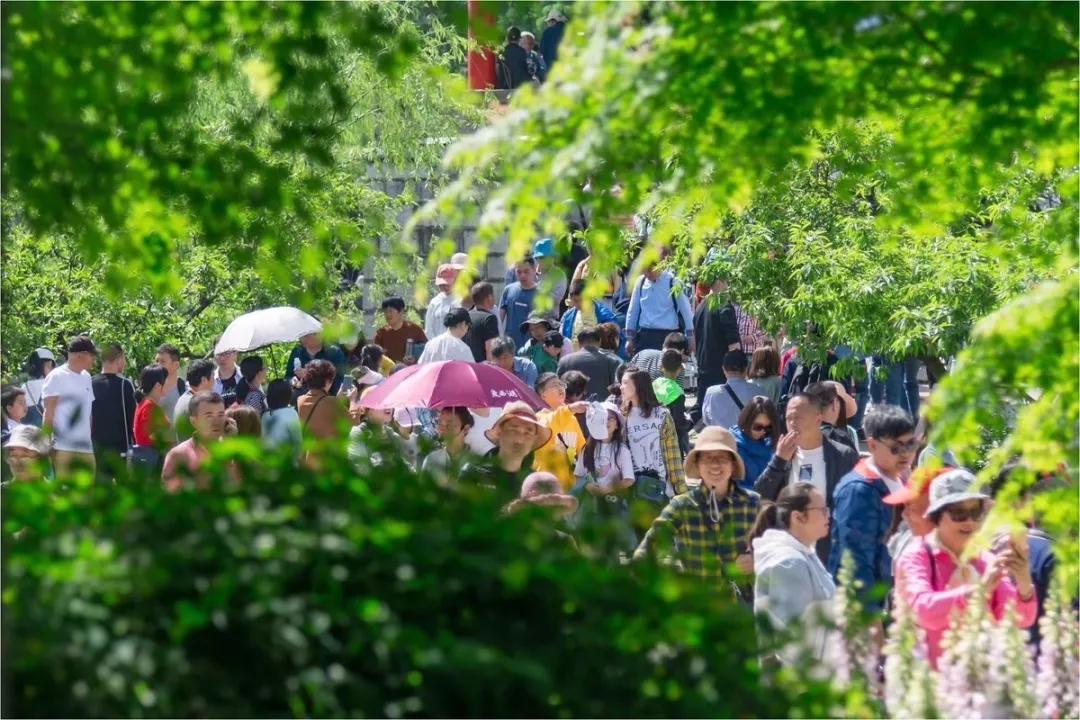 扬州二线城市排名,扬州二线城市未来发展