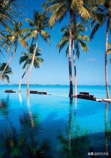 简短语录精辟句子正能量,简短精辟有内涵语录