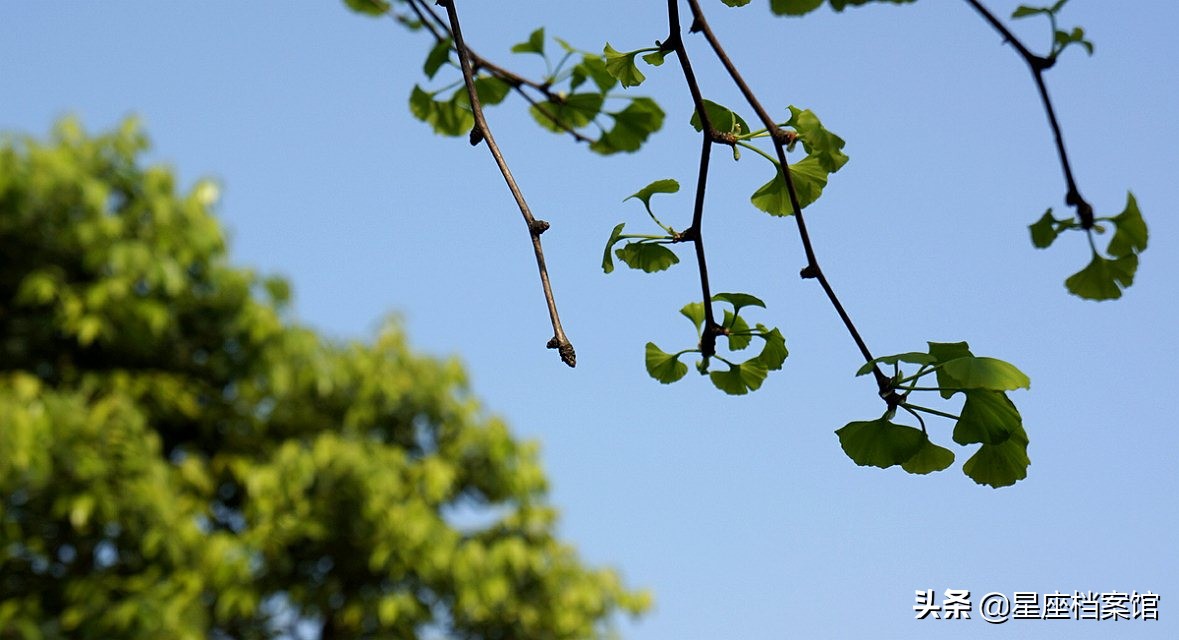 十二星座在日、韩语里怎么说