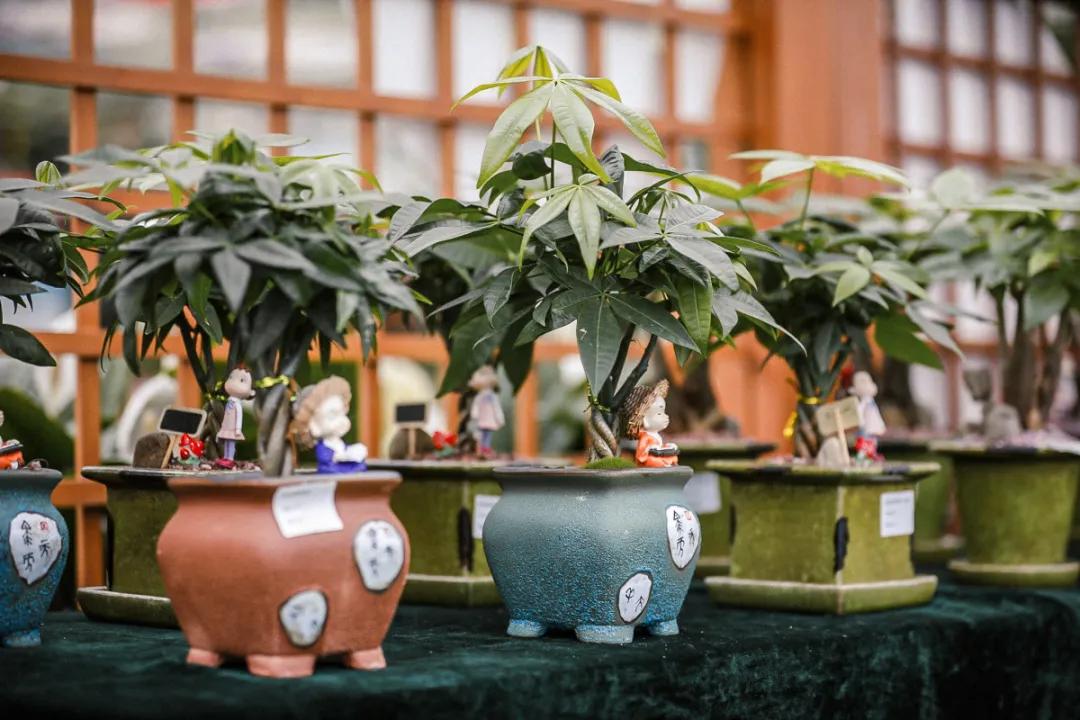 在大山深处幽静绝美的村落,深藏大山中的村落