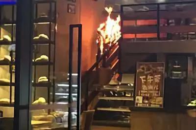 娱乐圈私生子的秘密,娱乐圈私生子真相