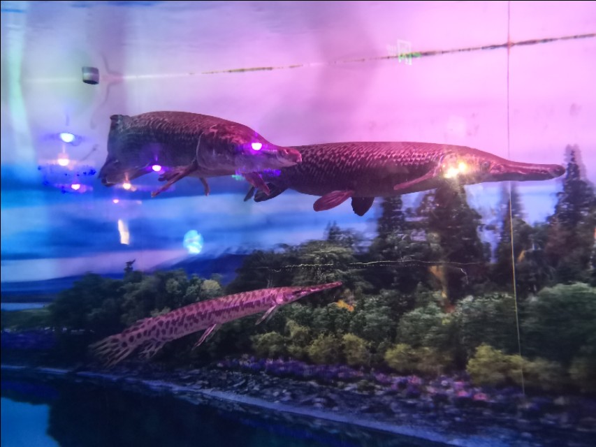 北京工体富国海底世界周一营业,北京工体富国海底世界旅馆