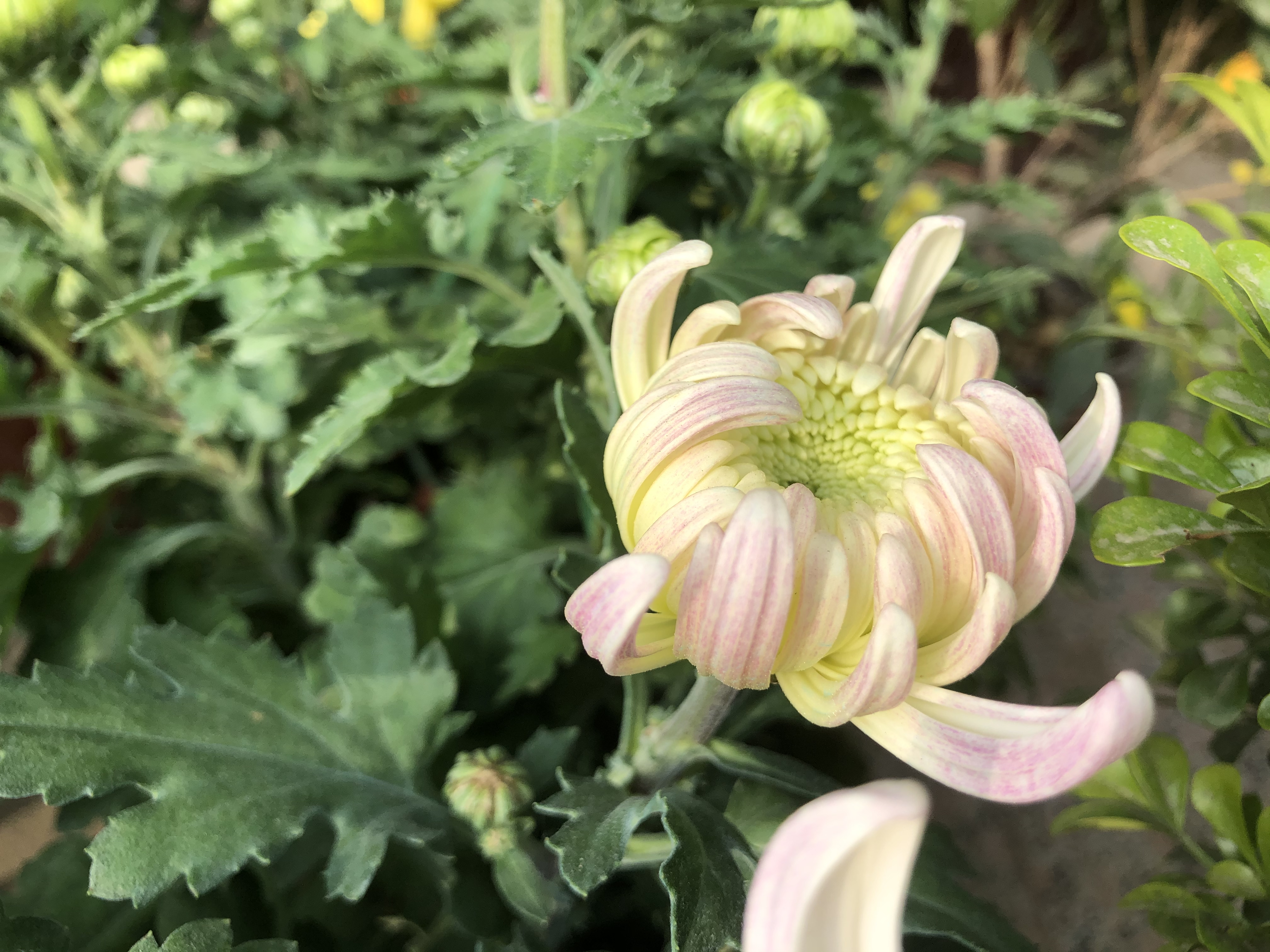 写给想要转行的你