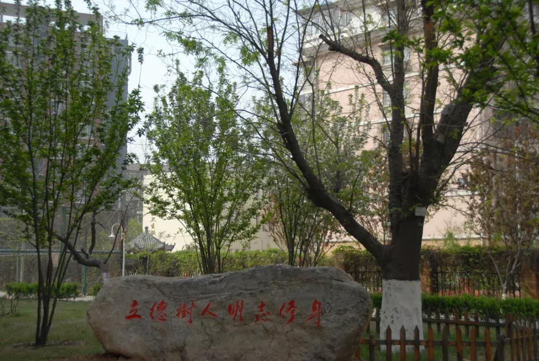 天津市41中学高中好吗,天津市所有普通高级中学排名