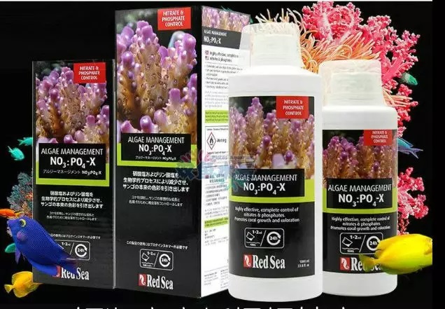 海缸刚开缸怎么饲养,海缸np双零珊瑚会白化吗