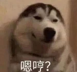 城市套路深，我求求你们不要再信这些了！