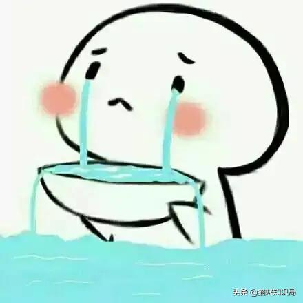 猫粮加营养膏营养够吗,好吃又不贵的猫粮营养膏