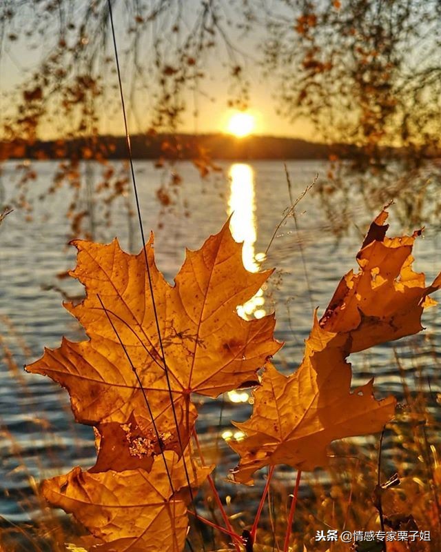 对付无赖就得用极端手段,对付无赖就得简单粗暴