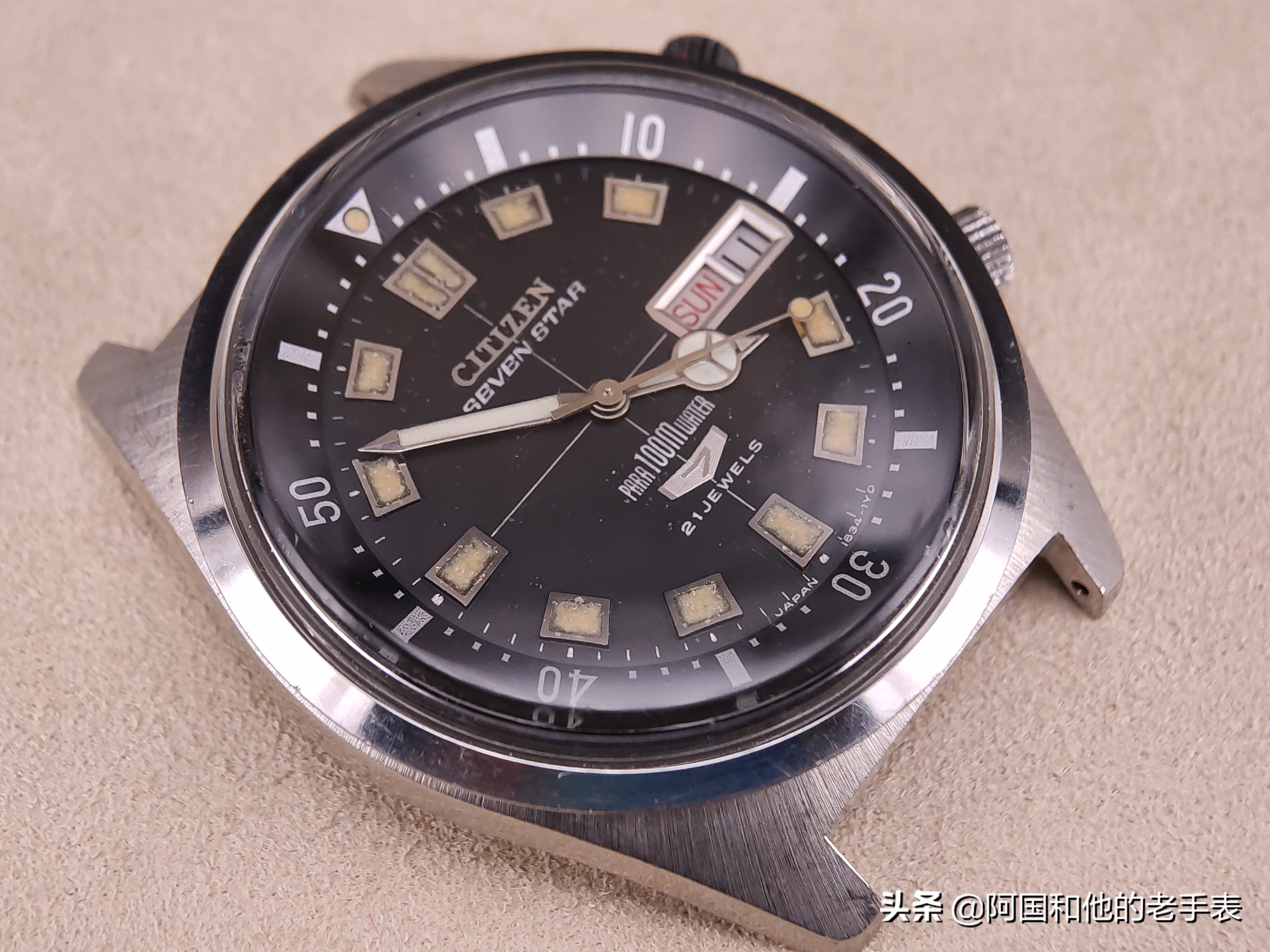 50年后的相见两只西铁城水鬼